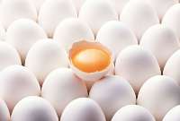 عراق واردات تخم مرغ از ایران را متوقف کرد